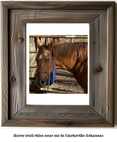 horse trail rides near me in Clarksville, Arkansas